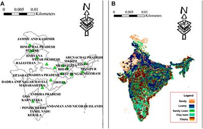 Meta-Analysis Approach to Measure the Effect of Integrated Nutrient Management on Crop Performance, Microbial Activity, and Carbon Stocks in Indian Soils